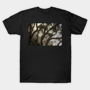 Mist through the trees. T-Shirt